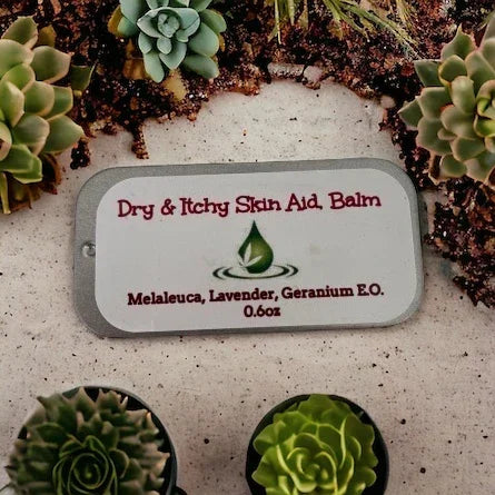 Dry and Itchy Skin Aid Balm tin featuring essential oils, surrounded by succulent plants