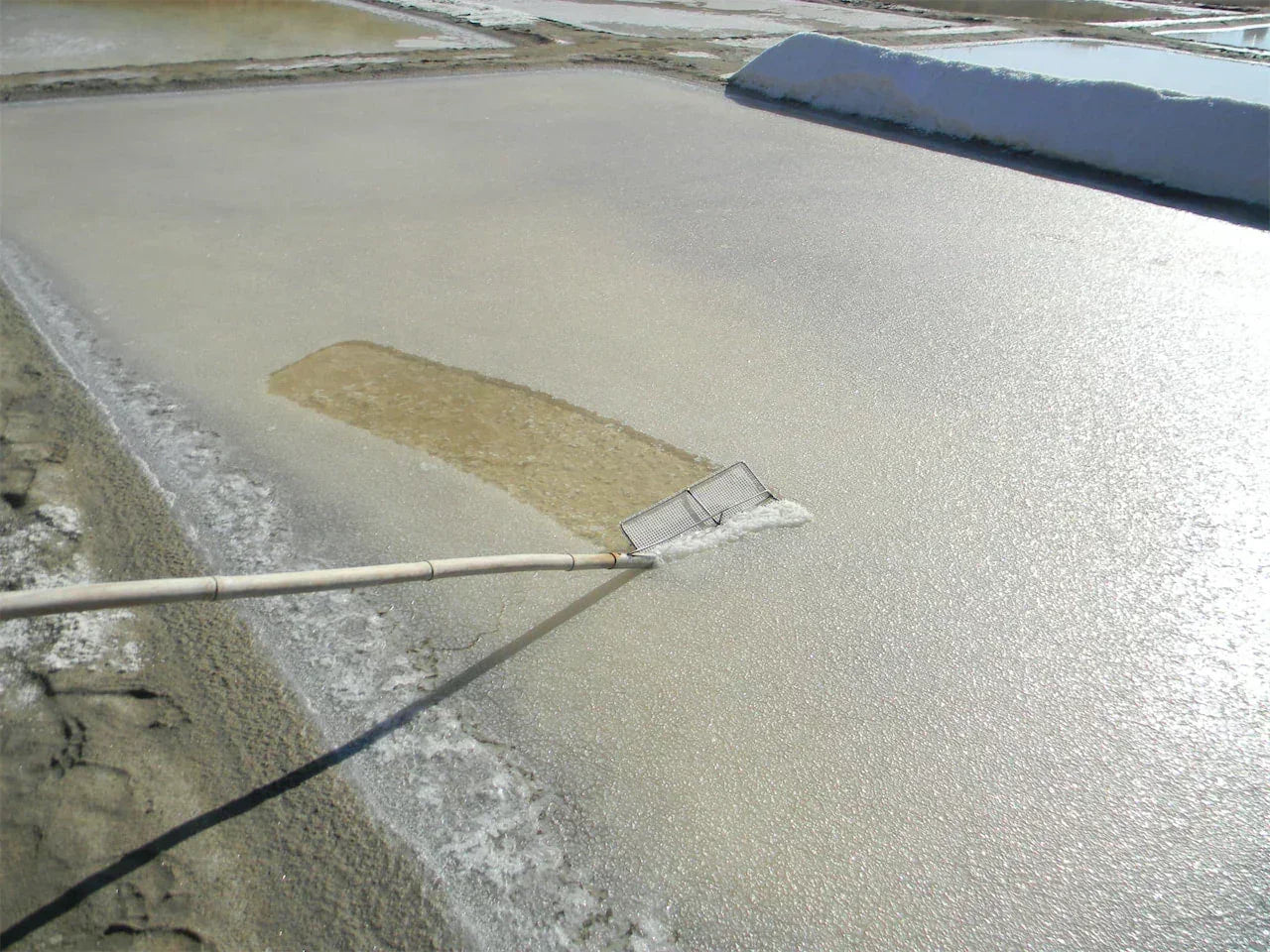 Hand-harvesting fleur de sel sea salt crystals from a natural salt pan under sunlight.