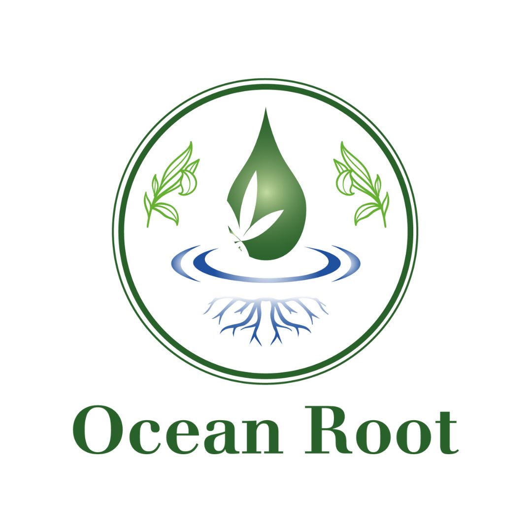 Logo of 'Ocean Root' with a green droplet, roots, and leaves on a white background