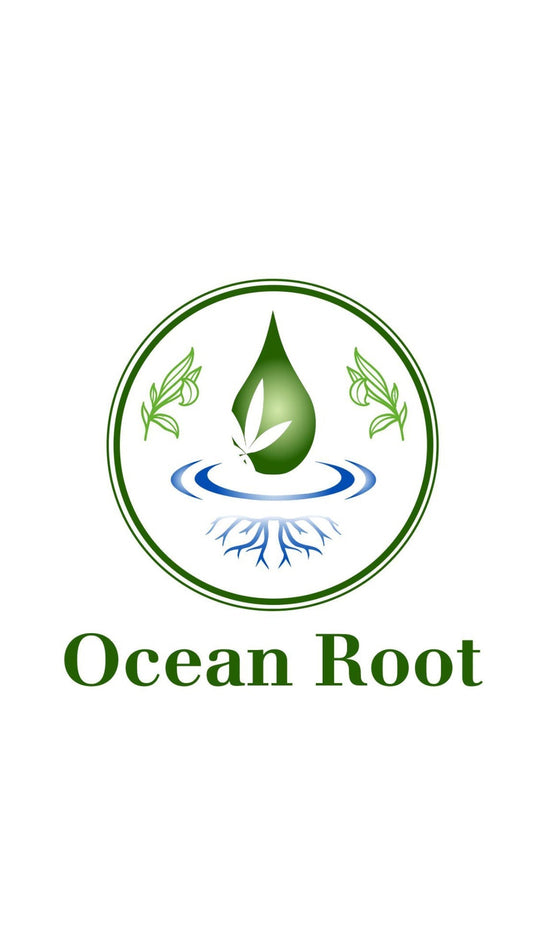 Ocean Root Blog