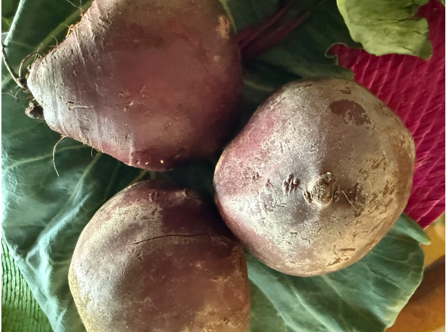 Beet Root Health Benefits