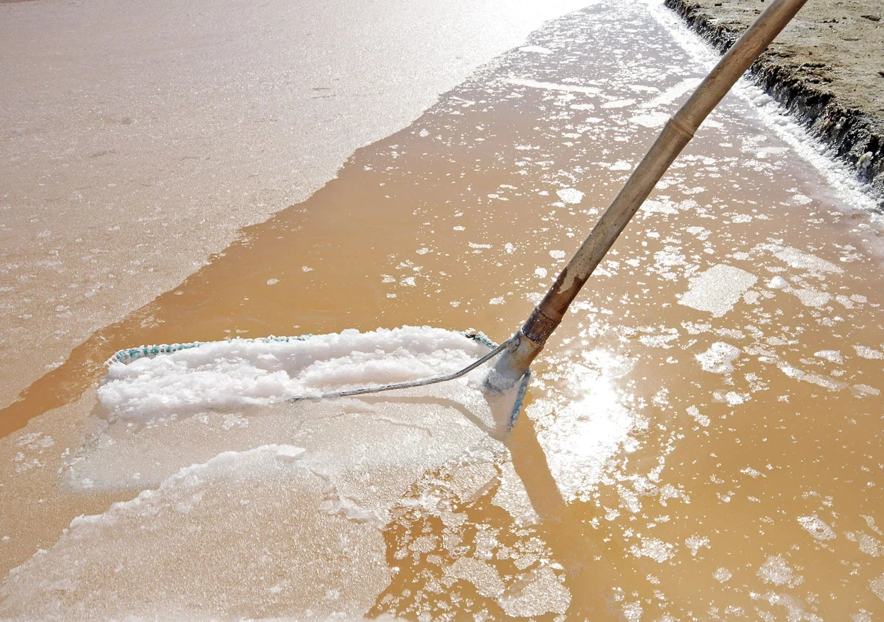 Hand harvesting fleur de sel sea salt crystals from a coastal salt pond with a wooden rake.
