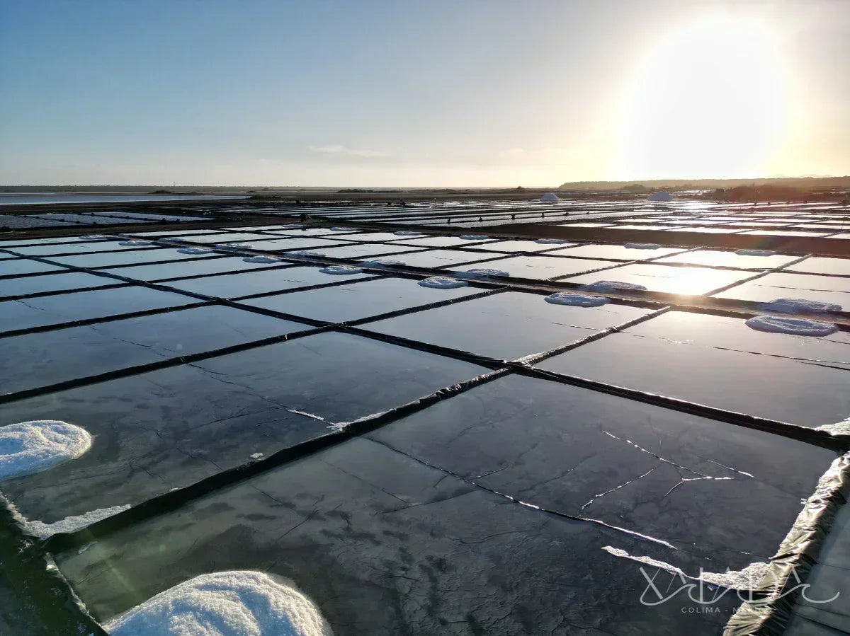 Hand-harvested sea salt fields at sunset, natural salt piles, coastal landscape