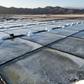 Premium hand harvested sea salt, mineral salt